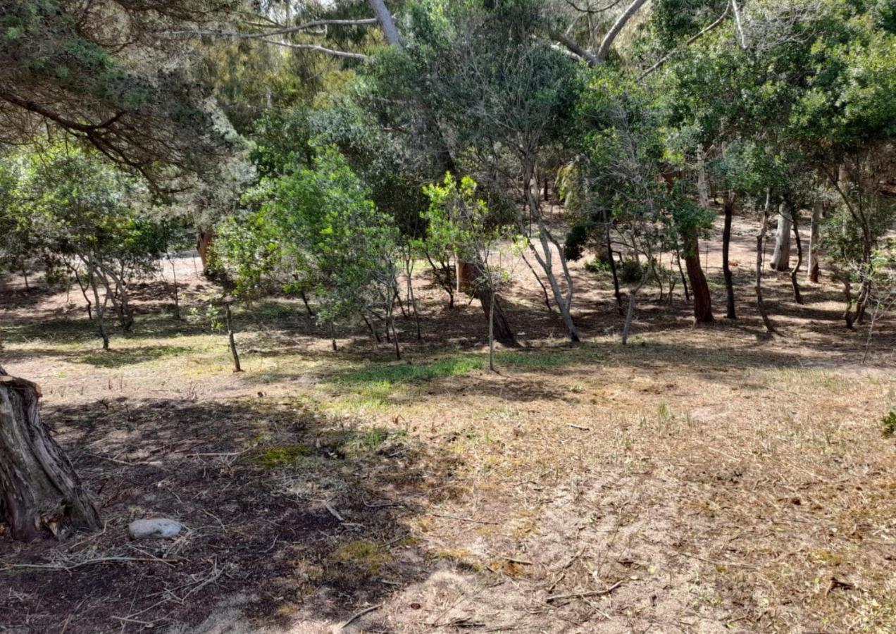 Casa Kia - 2 Camere Da Letto - Pet Friendly Valledoria Kültér fotó